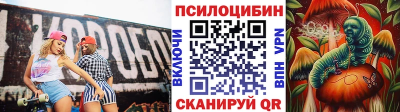 OMG   Гремячинск  Псилоцибиновые грибы Cubensis 