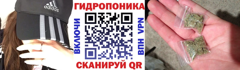 OMG маркетплейс  как найти закладки  Гремячинск  Каннабис MAZAR 